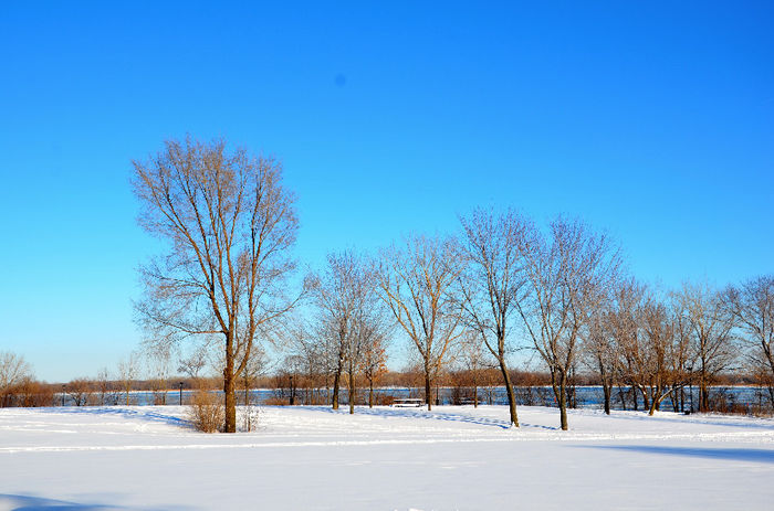 Iarna in parcul "Bellerive" - CANADA