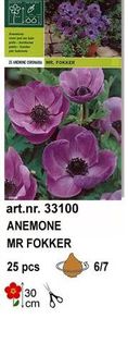 a6 - bulbi anemone