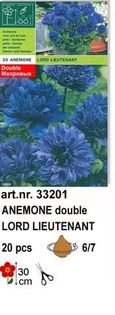 a8 - bulbi anemone
