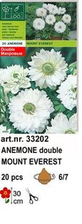 a9 - bulbi anemone