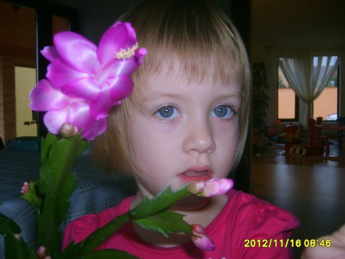 S5003468 - fLORILE    LUI   TEO