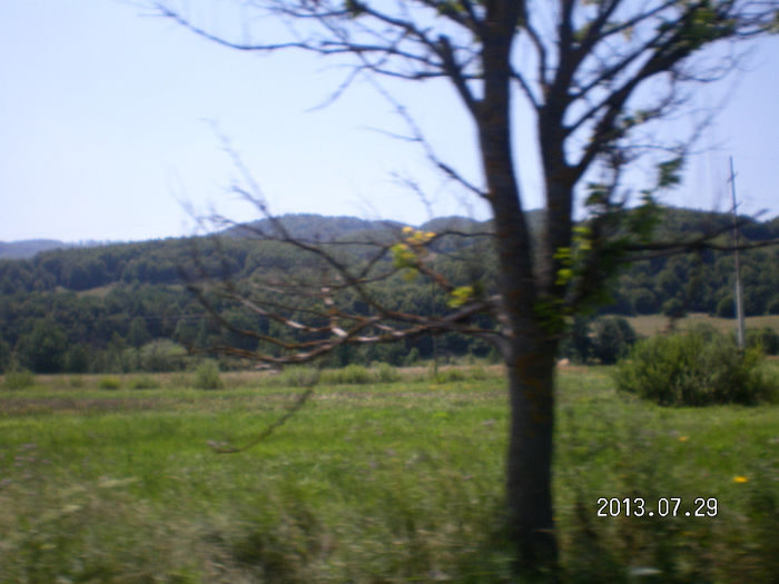 SANY0049