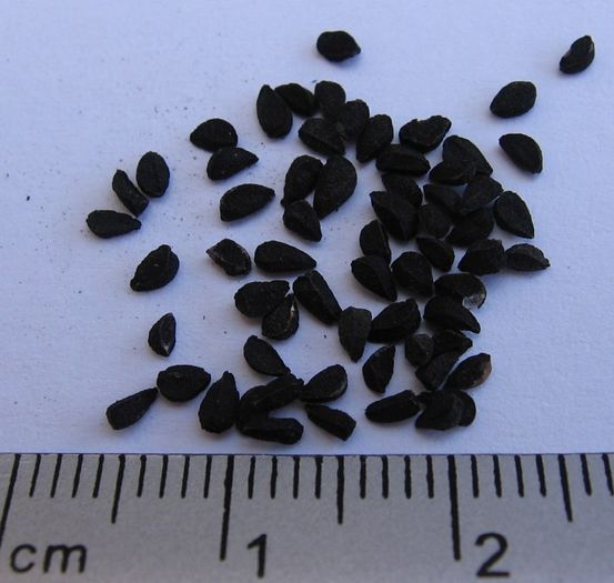 Negrilica-seminte; (Nigella sativa)

