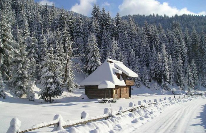 1523269_675134495881963_333197991_o - Viata la tara