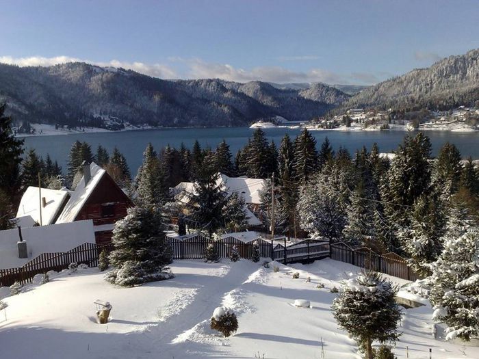 1548171_676142132447866_12397823_o