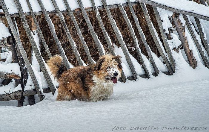 1619196_648190411909249_682666296_n