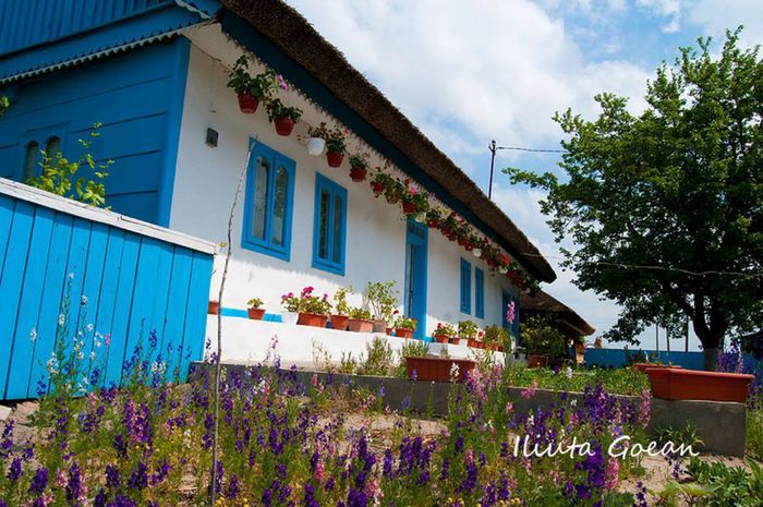 1658599_678217318907014_560932101_o