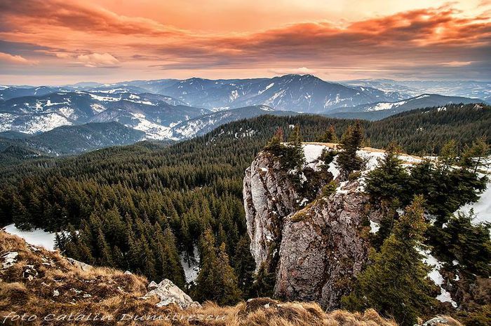 1897820_472242242901221_1851485789_n