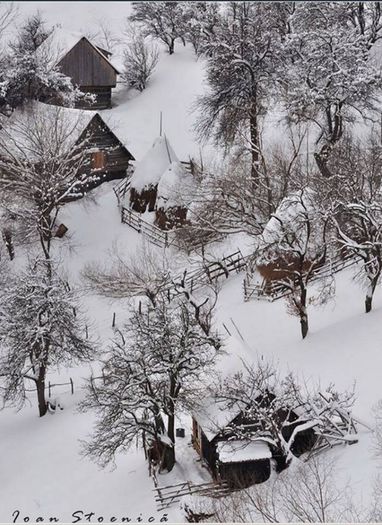 1904057_676166955778717_1085832069_n - Viata la tara