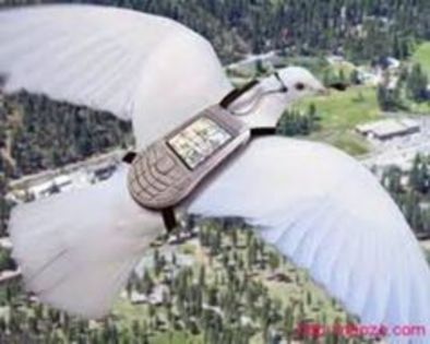 95041588_WMSRWMJ