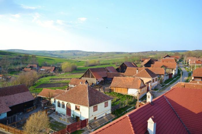 ULITA COCOROVENI DIN PALOS IN 2013.