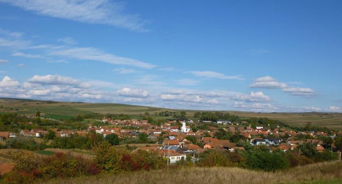 PANORAMA SATULUI PALOS-ARDEAL VAZUT DE PE DEALUL BRANZII.