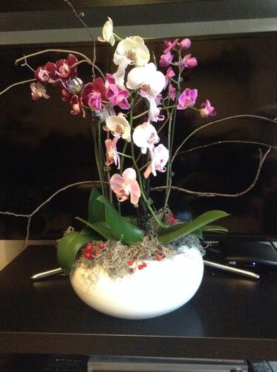 image - Aranjamente cu orhidee