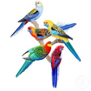 stinghii rosella - postere