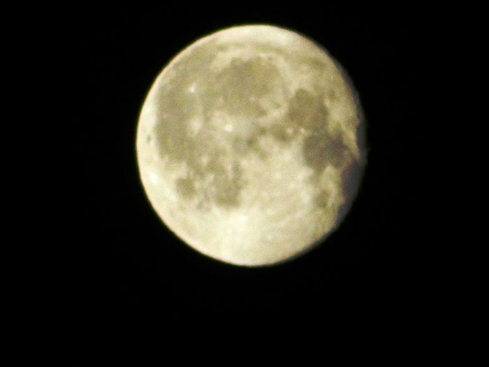 DSCN2241 - FEBRUARIE 2014