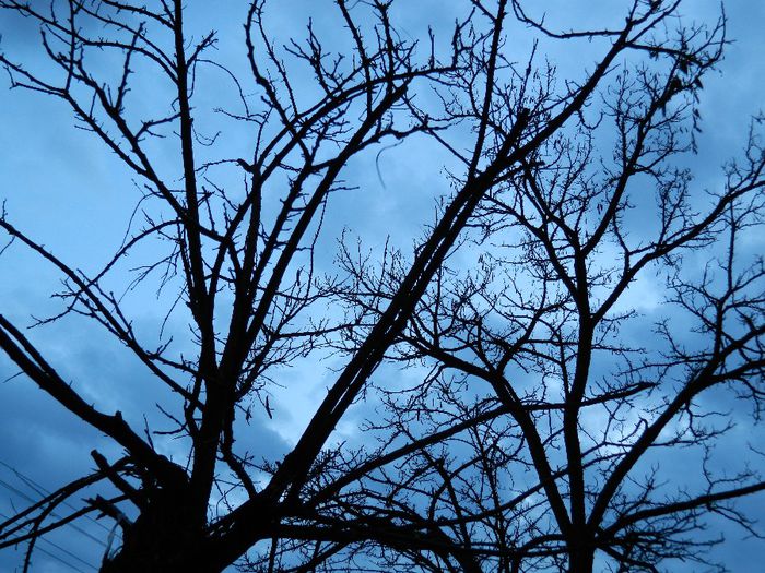 DSCN2258 - FEBRUARIE 2014