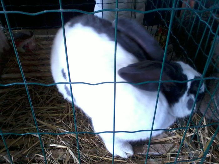 Fénykép0072 la fel