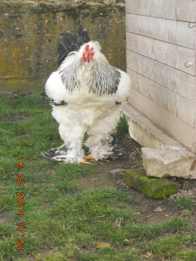 http:mariusvinga.sunphoto.ro