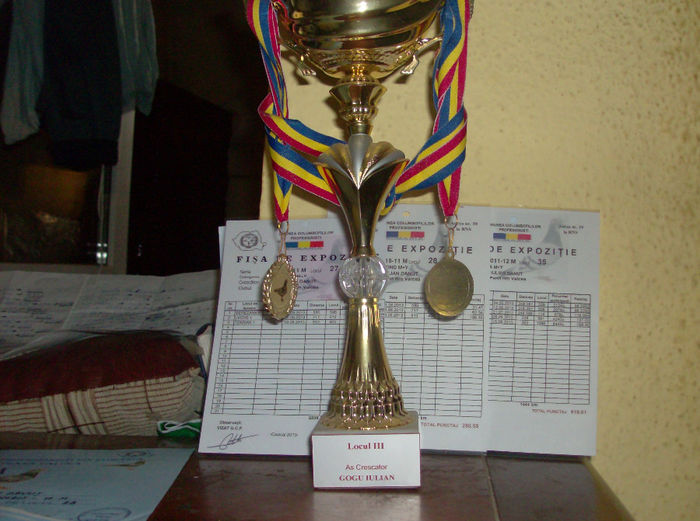 rezultate de exceptie