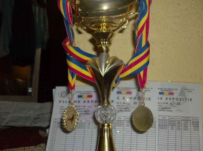 o parte din cupele si medaliile cucerite - DE VANZARE PORUMBEI DE MATCA