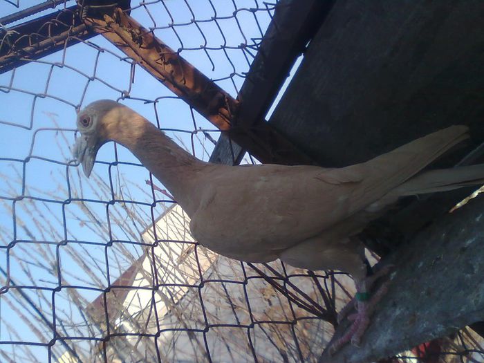 Imagine1948 - Carieri