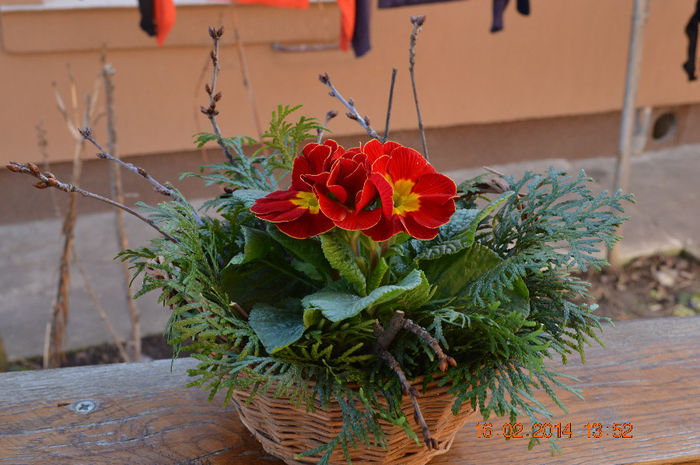 DSC_0003 - Aranjamente diverse