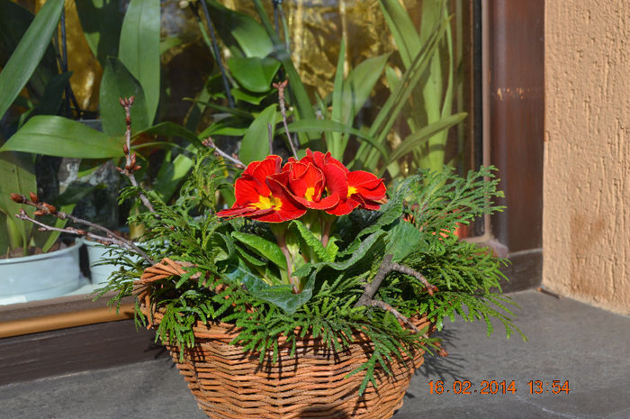 DSC_0007 (2) - Aranjamente diverse