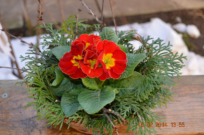 DSC_0010 (2) - Aranjamente diverse