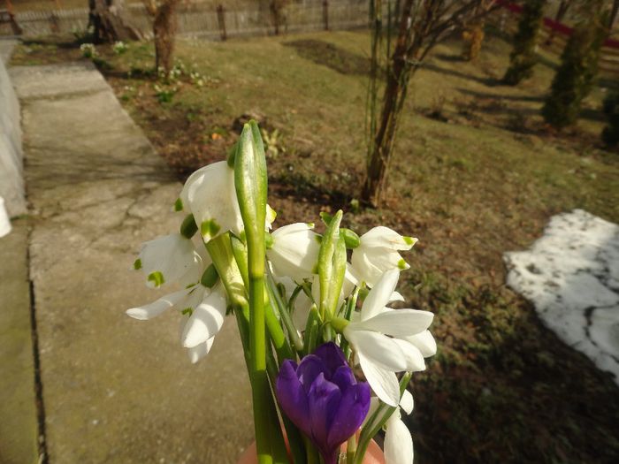 pentru cei ce vizioneaza acest album