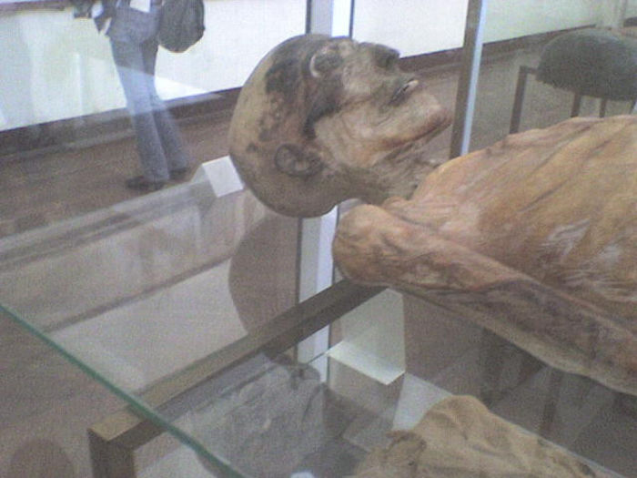 DSC00070 - Muzeul Egiptului Torino
