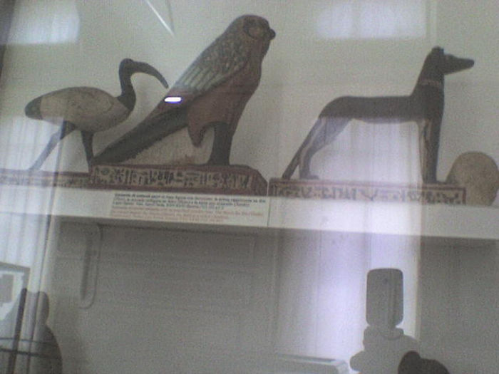 DSC00079 - Muzeul Egiptului Torino