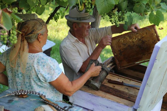 1610112_1406465146273989_501122080_n