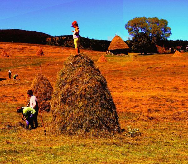 1619653_1405169206403583_585274084_n