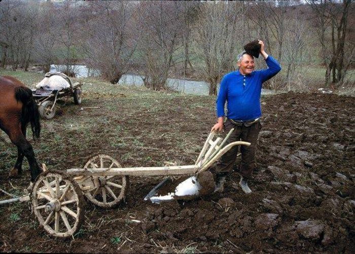 1798488_1407234606197043_1573663446_n