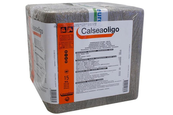 CalseaOligo1 - Blocuri Minerale de Lins