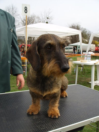 167313_139386829452325_7413799_n