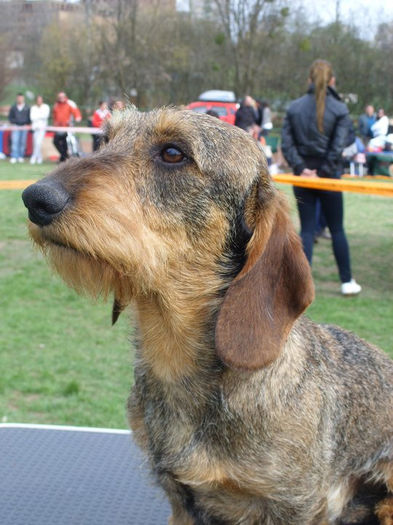 168610_151767078214300_3632760_n