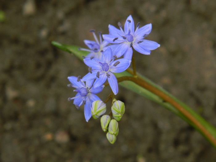 DSCN2337 februarie 19