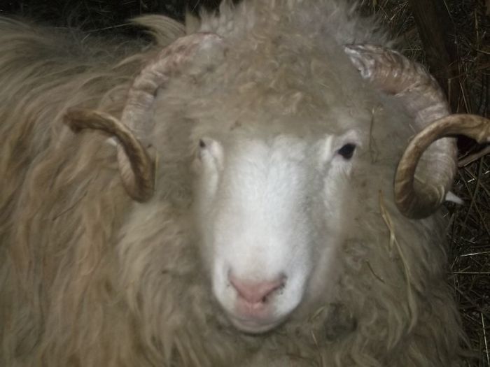 Picture 1759 - Carlani 2013-2014