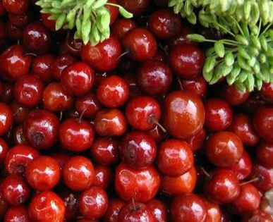 ziziphus mauritiana - a-alte seminte rare