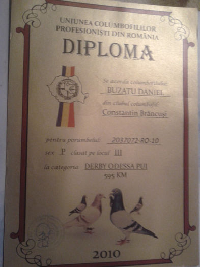2014-01-07 21.46.05 - CUPE si MEDALII