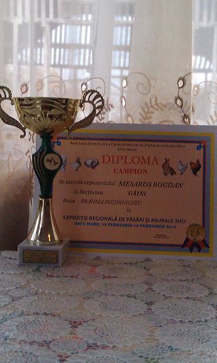 IMAG0171 - cupe si diplome regionala SM 2014