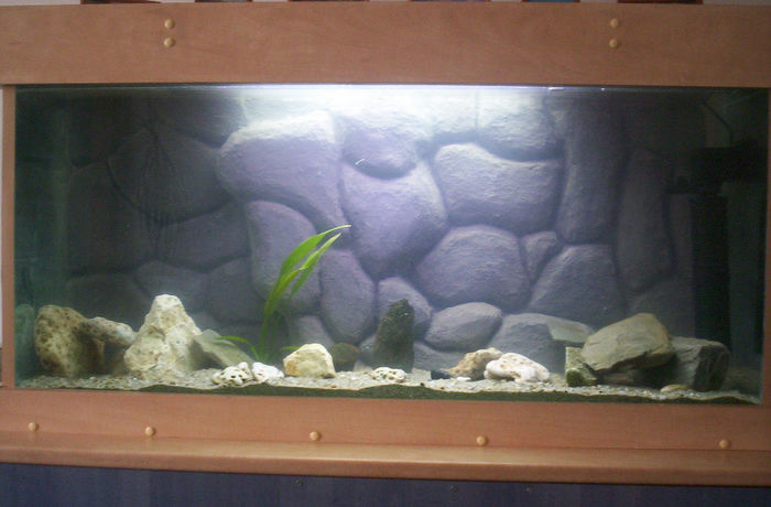 Acvariu 2006; ...pus la ciclat
