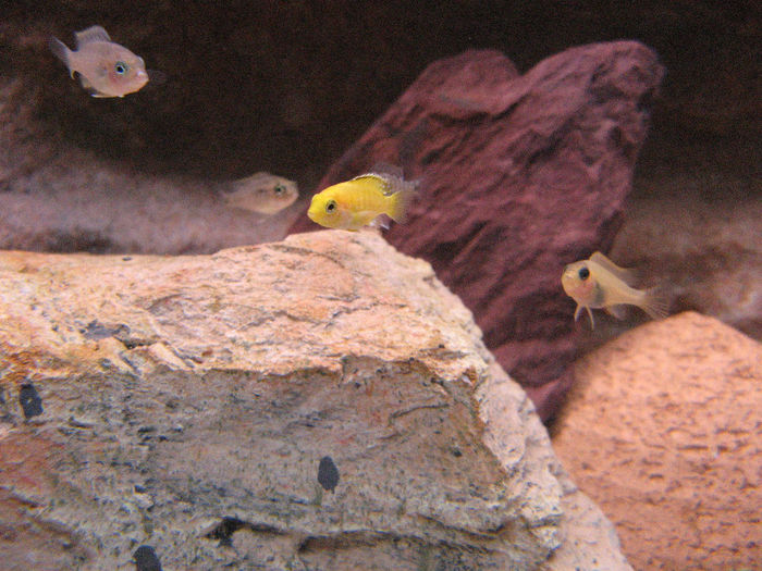 Decembrie 2008; Cresc micutii..
