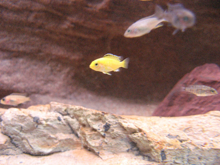 Decembrie 2008; Cresc micutii..
