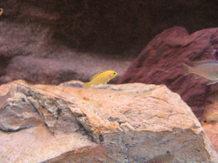 Decembrie 2008; Cresc micutii..
