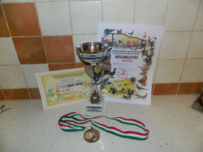 Expo Odorhei 2014