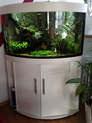 trigon 190, firma juwel - aquariu