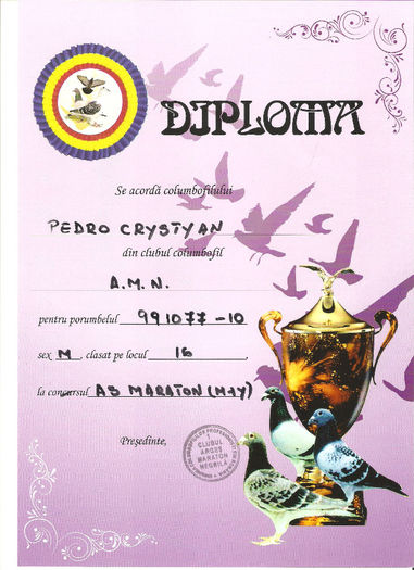 3BCC5148 - DIPLOME 2013