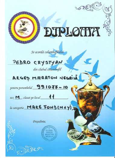 9D385FC8 - DIPLOME 2013